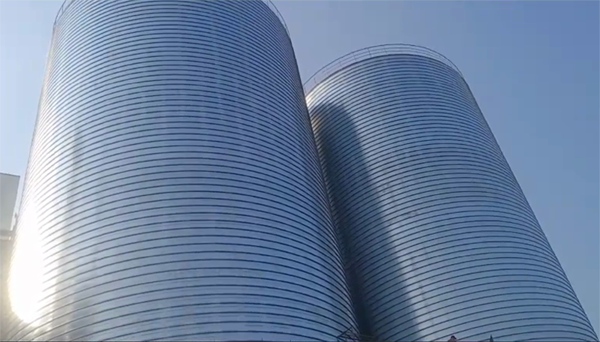 景宁2座混凝土高架卷板仓